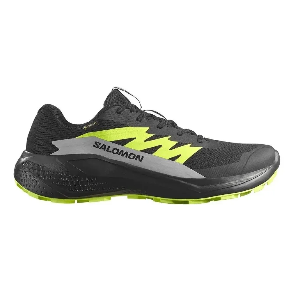 Salomon кроссовки мужские Alphaglide gtx