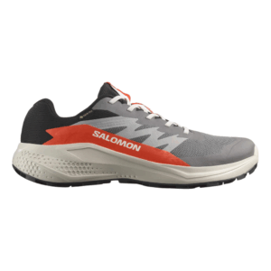 Salomon кроссовки мужские Alphaglide GTX