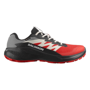 Salomon кроссовки мужские Alphaglide GTX