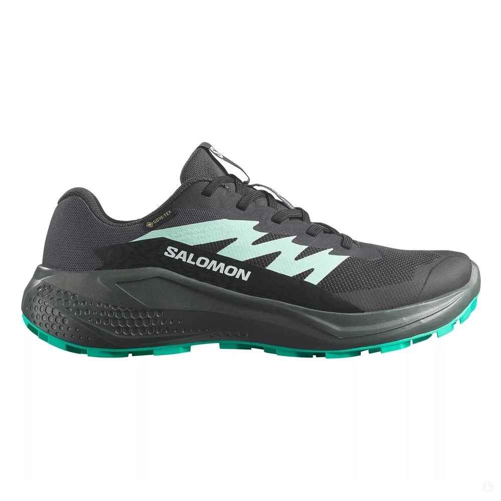 Salomon кроссовки женские Alphaglide GTX