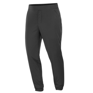 Salomon  брюки утепленные мужские Mountain Flex
