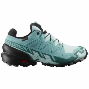 Salomon кроссовки женские Speedcross 6 GTX