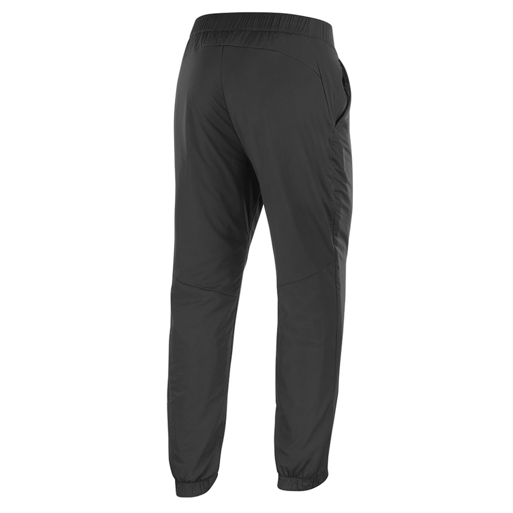 Salomon брюки утепленные мужские Mountain Flex — изображение 2