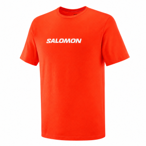 Salomon футболка мужская Salomon Logo Performance