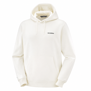 Salomon  кофта мужская Chest Logo