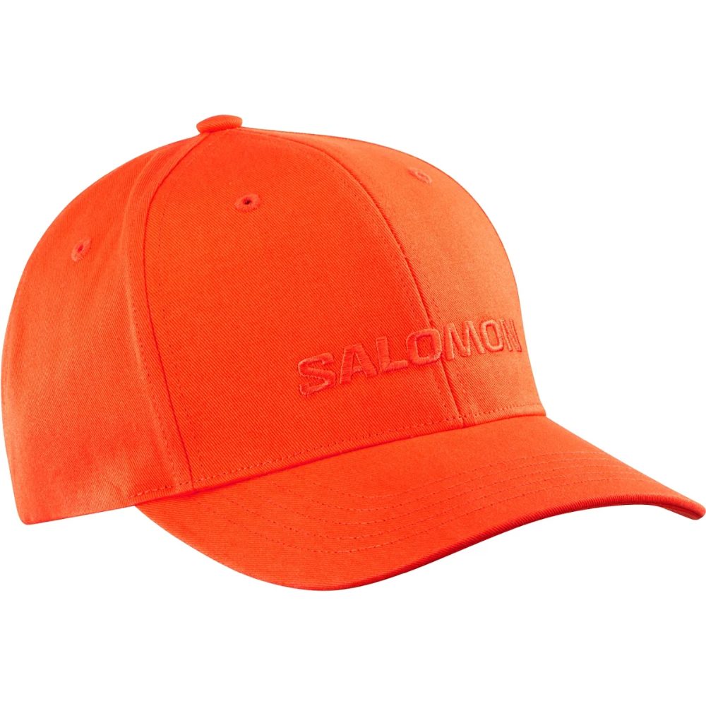 Salomon кепка Salomon Logo