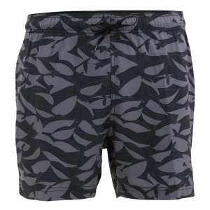 Speedo шорты мужские пляжные A/o prnt redondo