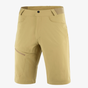 Salomon  шорты мужские Wayfarer