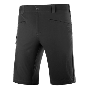Salomon  шорты мужские Wayfarer