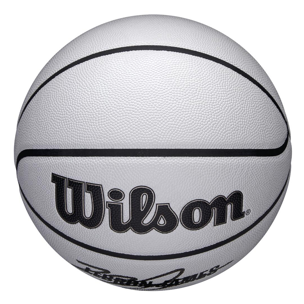 Wilson мяч баскетбольный NBA Player Icon UV Lebron — изображение 3