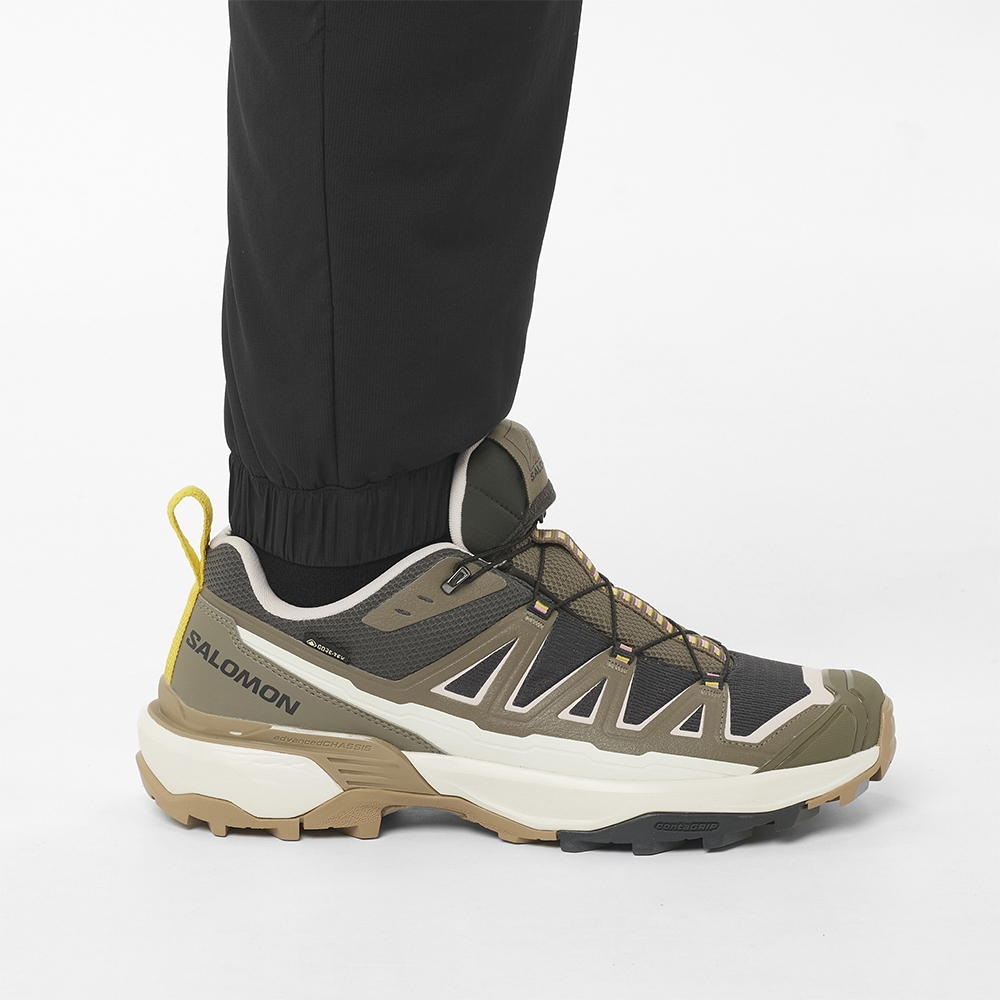 Salomon брюки утепленные мужские Mountain Flex — изображение 6