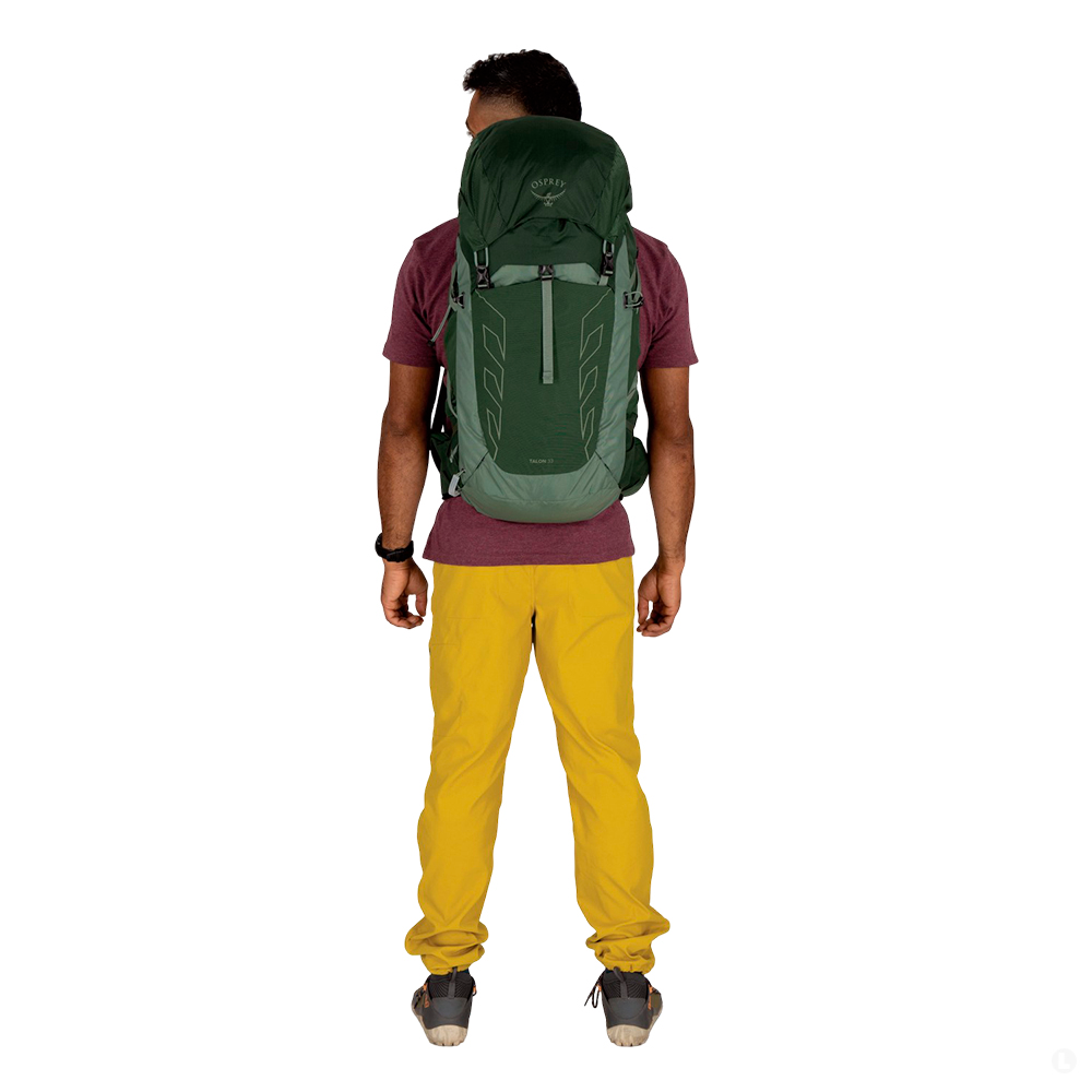 Osprey рюкзак Talon 33 — изображение 5